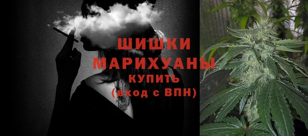тгк Пересвет