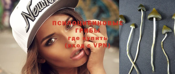 ПСИЛОЦИБИНОВЫЕ ГРИБЫ Пестово