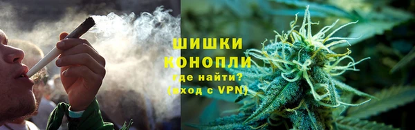 ПСИЛОЦИБИНОВЫЕ ГРИБЫ Пестово