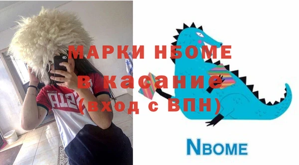 тгк Пересвет