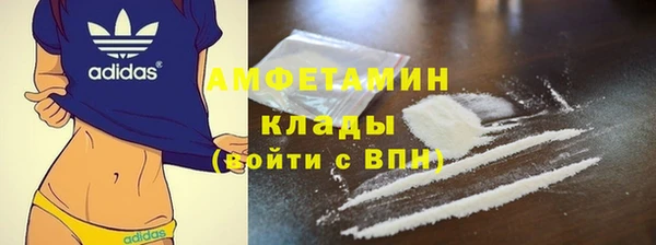 тгк Пересвет