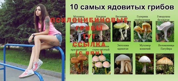 гидра Переславль-Залесский