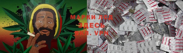 тгк Пересвет