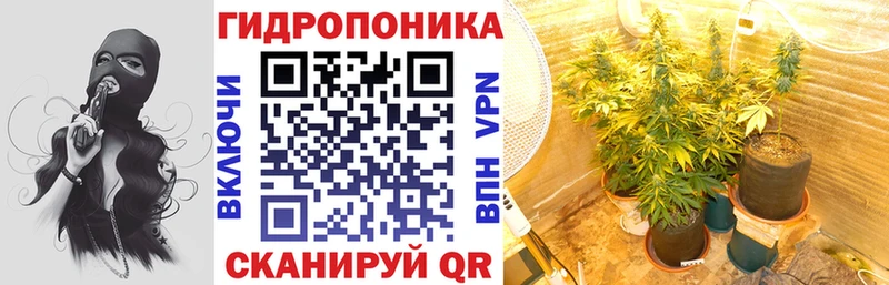 Купить закладки  Тында  Канабис план 